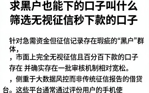 求黑户也能下的口子叫什么,筛选五个无视征信秒下款的口子