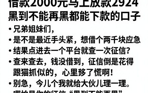 借款2000元马上放款2924,理出5个黑到不能再黑都能下款的口子