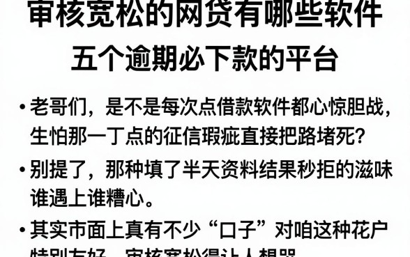 审核宽松的网贷有哪些软件,概览五个逾期必下款的平台