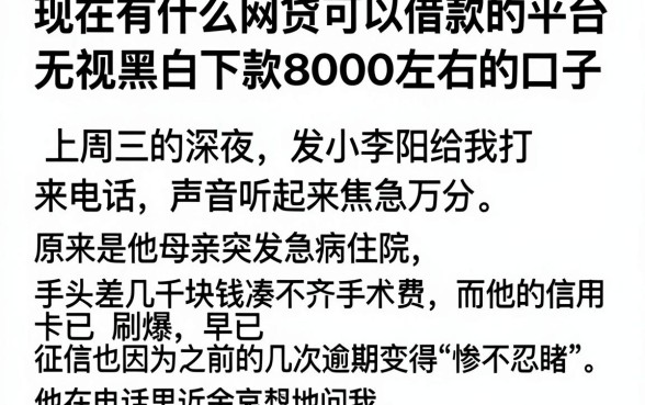 现在有什么网贷可以借款的平台,整理五个无视黑白下款8000左右的口子