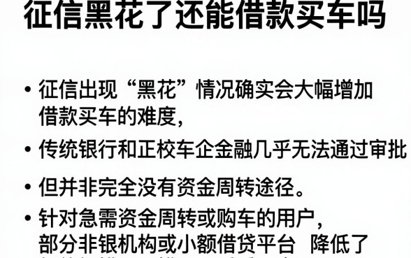 征信黑花了还能借款买车吗，概括5个黑户下款软件