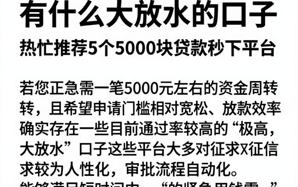 有什么大放水的口子,热忱推荐5个5000块贷款秒下平台