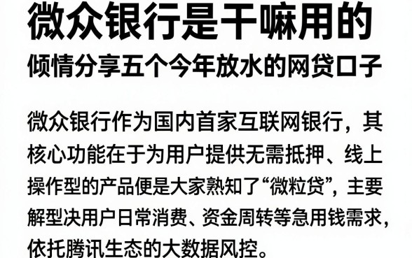 微众银行是干嘛用的,倾情分享五个今年放水的网贷口子
