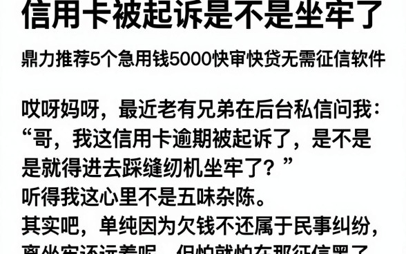 信用卡被起诉是不是坐牢了,鼎力推荐5个急用钱5000快审快贷无需征信软件