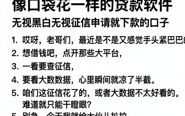 像口袋花一样的贷款软件,枚举五个无视黑白无视征信申请就下款的口子