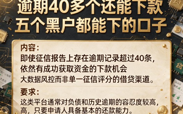 逾期40多个还能下款，概括五个黑户都能下的口子
