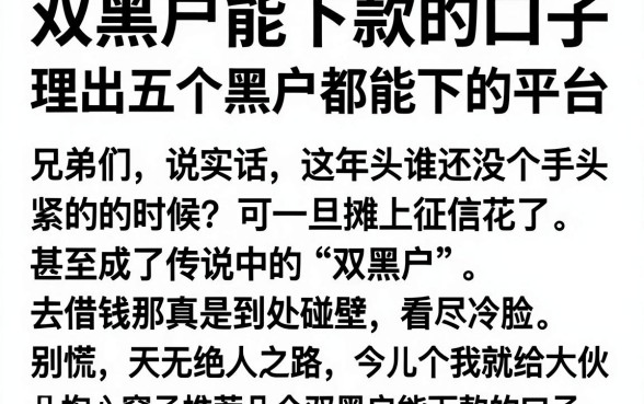 双黑户能下款的口子,理出五个黑户都能下的平台