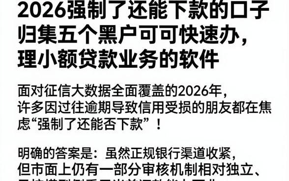 2026强制了还能下款的口子,归集五个黑户可快速办理小额贷款业务的软件