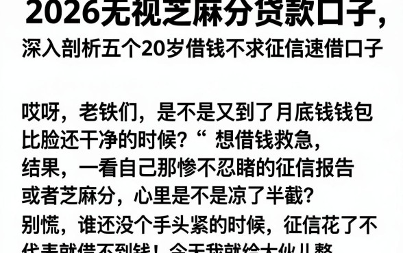 2026无视芝麻分贷款口子，深入剖析五个20岁借钱不求征信速借口子