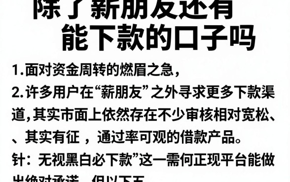 除了薪朋友还有能下款的口子吗,详细阐述5个无视黑白必下款的网贷软件