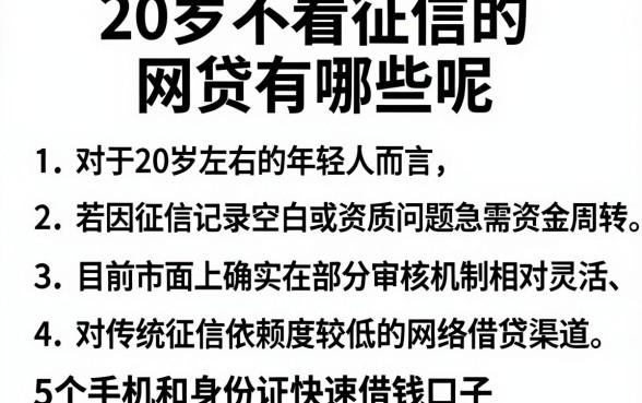 20岁不看征信的网贷有哪些呢,胪列5个手机和身份证快速借钱口子