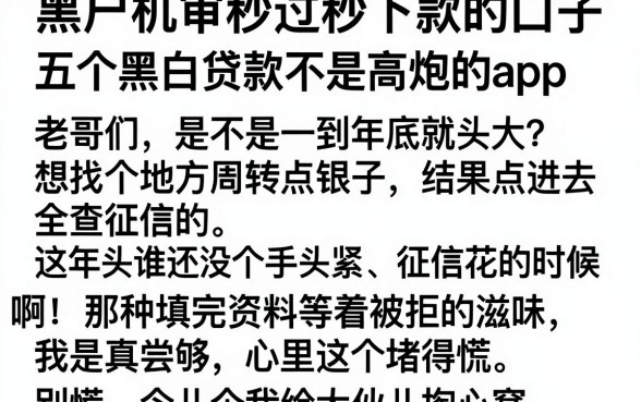 黑户机审秒过秒下款的口子,详尽说明五个黑白贷款不是高炮的app