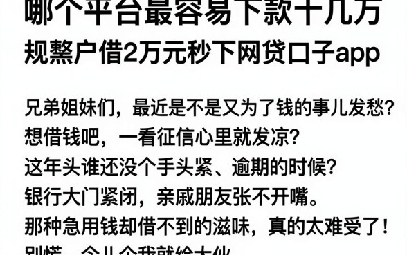 哪个平台最容易下款十几万，规整五个黑户借2万元秒下网贷口子app