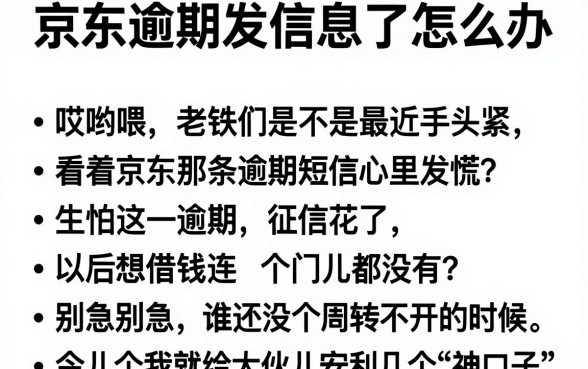 京东逾期发信息了怎么办,陈列5个借款快的网贷软件