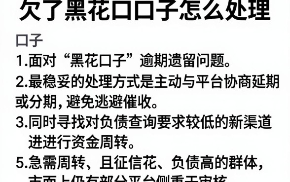 欠了黑花口子怎么处理,归集五个不看负债查询的口子