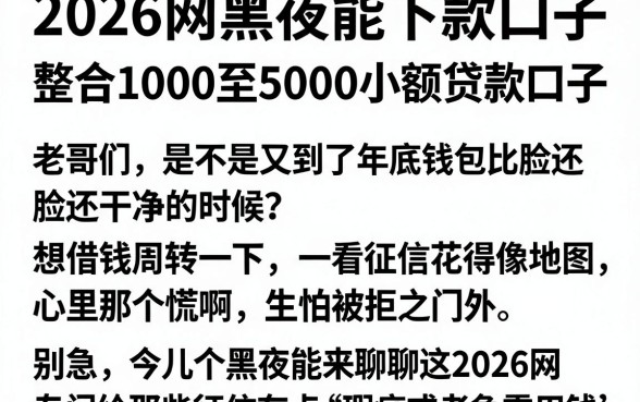 2026网黑夜能下款口子,整合五个1000至5000的小额贷款口子