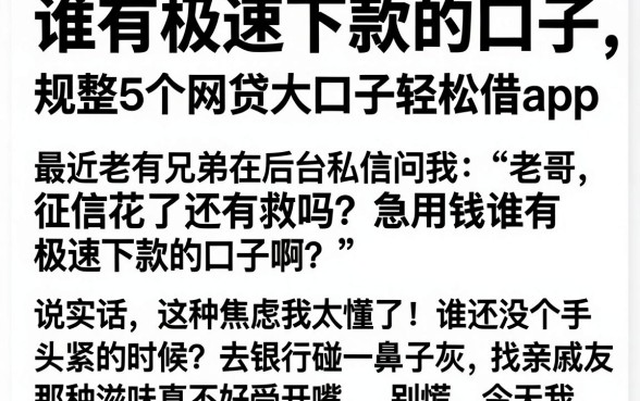 谁有极速下款的口子，规整5个网贷大口子轻松借app