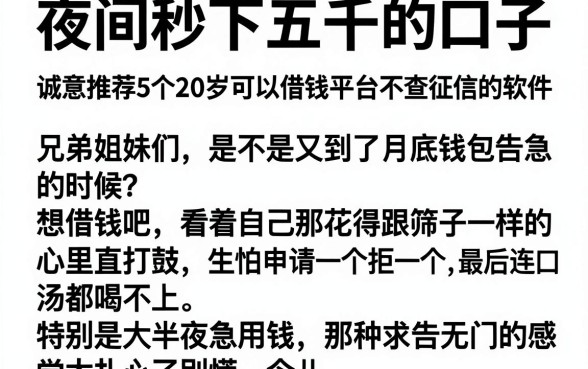 夜间秒下五千的口子,诚意推荐5个20岁可以借钱平台不查征信的软件