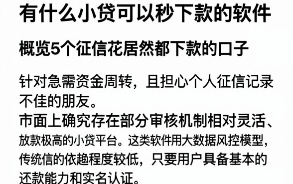 有什么小贷可以秒下款的软件,概览5个征信花居然都下款的口子