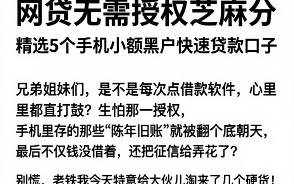 网贷无需授权芝麻分,精选5个手机小额黑户快速贷款口子