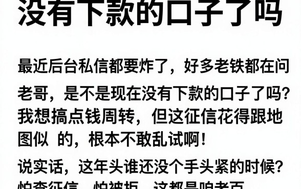 没有下款的口子了吗,筛选5个12月能贷款的软件