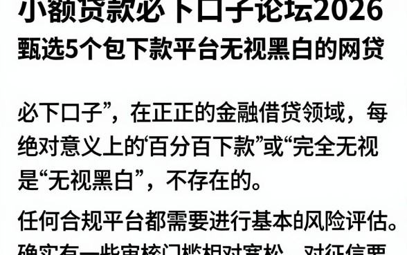 小额贷款必下口子论坛2026,甄选5个包下款平台无视黑白的网贷