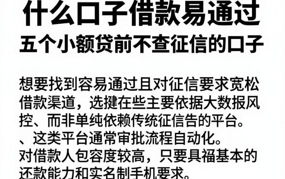 什么口子借款易通过,揭秘五个小额贷款不查征信的口子