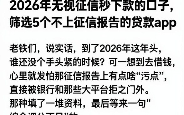 2026年无视征信秒下款的口子,筛选5个不上征信报告的贷款app
