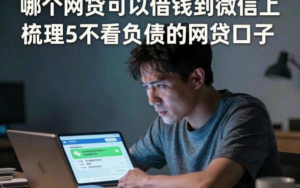 哪个网贷可以借钱到微信上，梳理5个不看负债的网贷口子