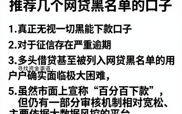推荐几个网贷黑名单的口子,详细阐述五个真正无视一切黑能下款口子