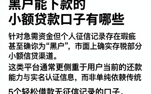 黑户能下款的小额贷款口子有哪些,详尽说明5个轻松借款无征信记录的口子