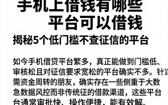 手机上借钱有哪些平台可以借钱,揭秘5个低门槛不查征信的平台