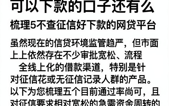 可以下款的口子还有么,梳理5个不查征信好下款的网贷平台