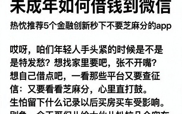 未成年如何借钱到微信，热忱推荐5个金融创新秒下不要芝麻分的app