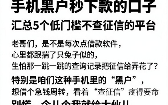 手机黑户秒下款的口子,汇总5个低门槛不查征信的平台