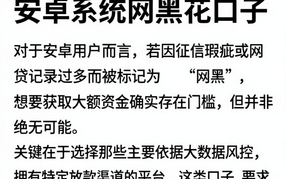 安卓系统网黑花口子,详细阐述五个黑户成功获取大额贷款的软件
