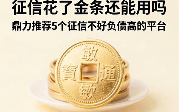 征信花了金条还能用吗,鼎力推荐5个征信不好负债高的平台