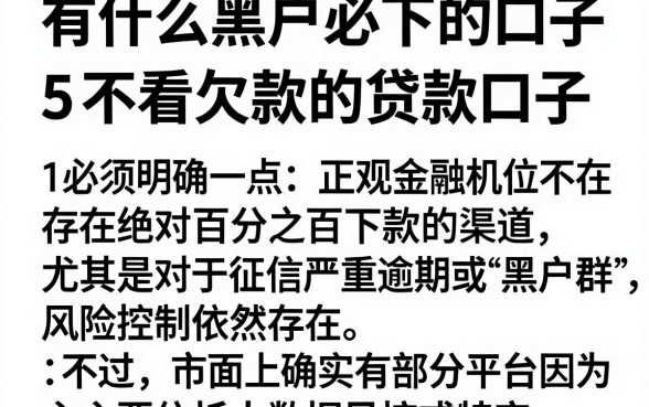 有什么黑户必下的口子,概括5个不看欠款的贷款口子
