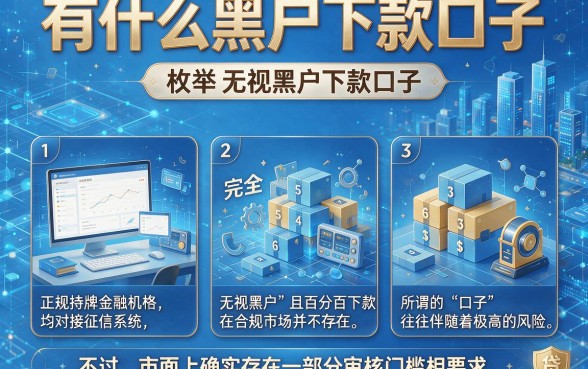有什么黑户下款口子，枚举五个无视黑户下款口子