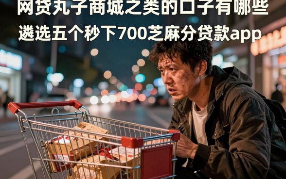 网贷丸子商城之类的口子有哪些，遴选五个秒下700芝麻分贷款app