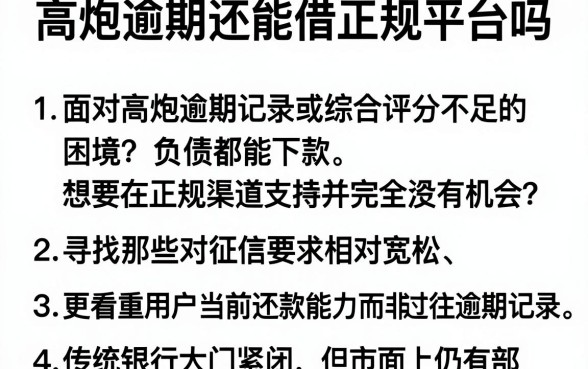 高炮逾期还能借正规平台吗,胪列5个综合评分不足有负债都能下款app