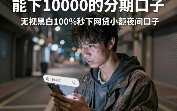 能下10000的分期口子，细致阐述五个无视黑白100%秒下网贷小额夜间口子