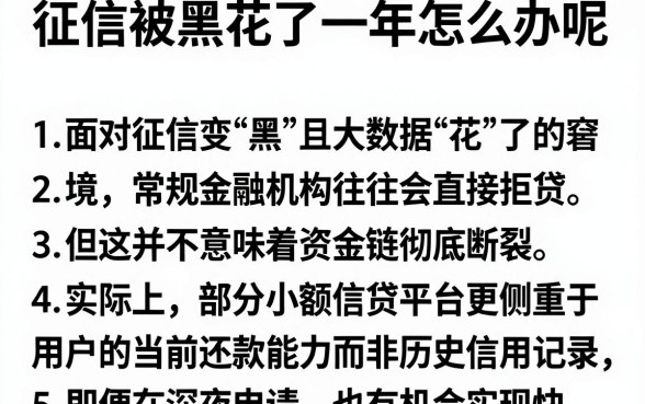 征信被黑花了一年怎么办呢,罗列5个无视黑花半夜下款的网贷平台