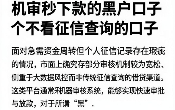 机审秒下款的黑户口子,陈列五个不看征信查询的口子