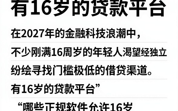 有16岁的贷款平台,胪列五个贷款10万比较容易的软件