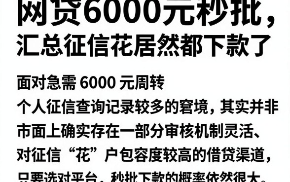 网贷6000元秒批,汇总五个征信花居然都下款了的平台