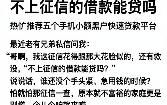 不上征信的借款能贷吗，热忱推荐五个手机小额黑户快速贷款平台