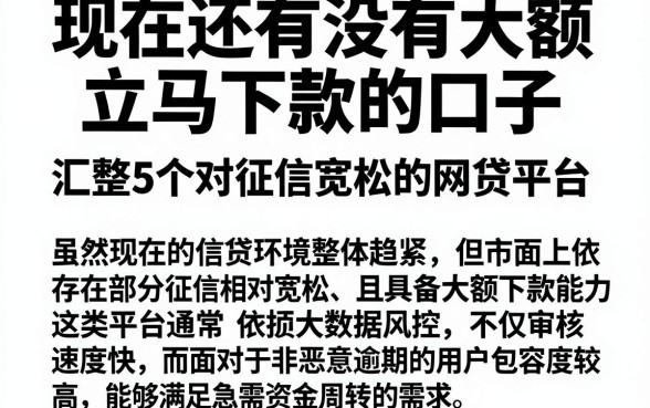 现在还有没有大额立马下款的口子,汇整5个对征信宽松的网贷平台