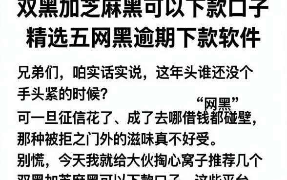 双黑加芝麻黑可以下款口子,精选五个网黑逾期下款软件