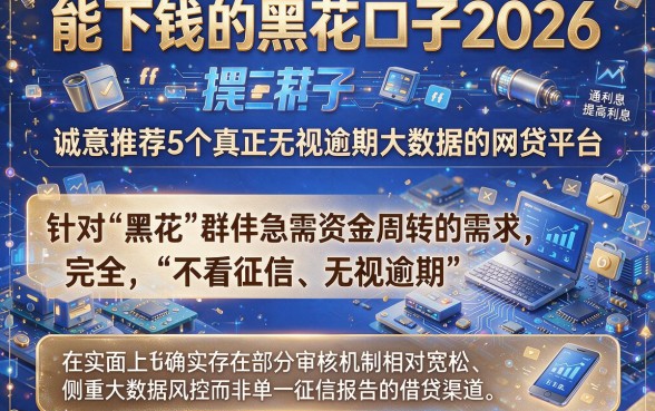 能下钱的黑花口子2026,诚意推荐5个真正无视逾期大数据的网贷平台